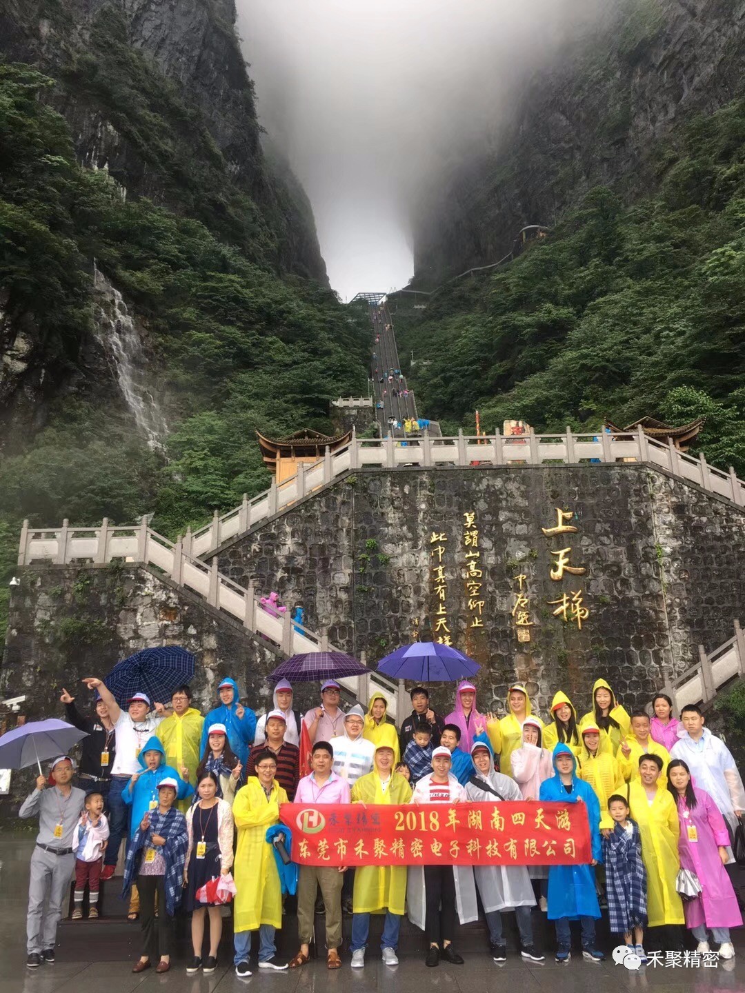 精密小91视频观看网站冲压件